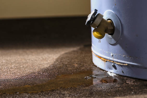 Best Water damage contractors near me  in Lake Of The Woods, AZ
