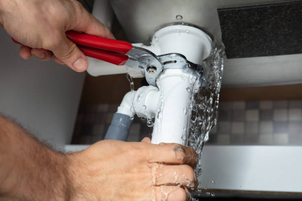 Best Ceiling water damage repair  in Lake Of The Woods, AZ