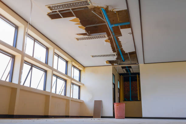  Lake Of The Woods, AZ Water damage restoration Pros