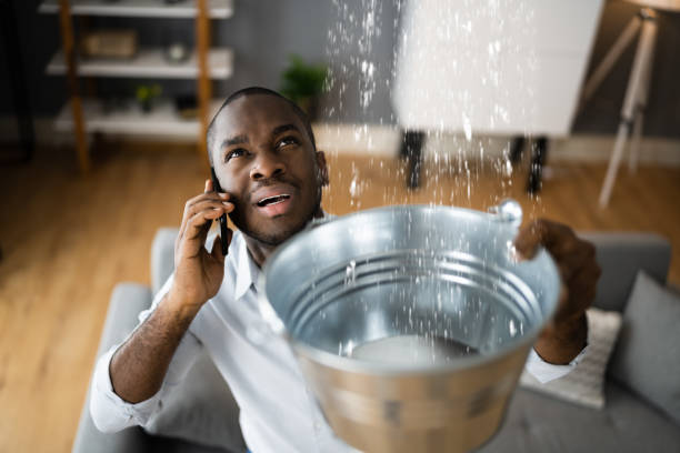 Best Water damage restoration near me  in Lake Of The Woods, AZ