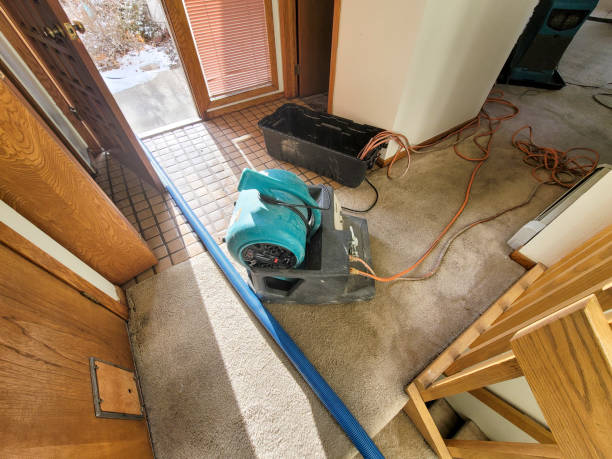 Best Water damage restoration near me  in Lake Of The Woods, AZ