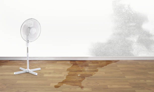 Best Commercial water damage restoration  in Lake Of The Woods, AZ