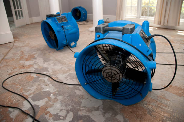 Best Water damage contractors near me  in Lake Of The Woods, AZ