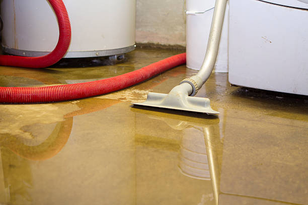 Best 24-hour water damage restoration  in Lake Of The Woods, AZ