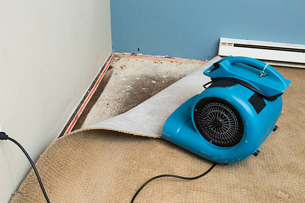 Best Residential water damage restoration  in Lake Of The Woods, AZ